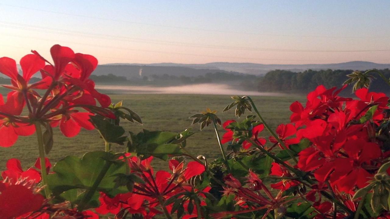 Waldhotel Dierdorf Екстериор снимка