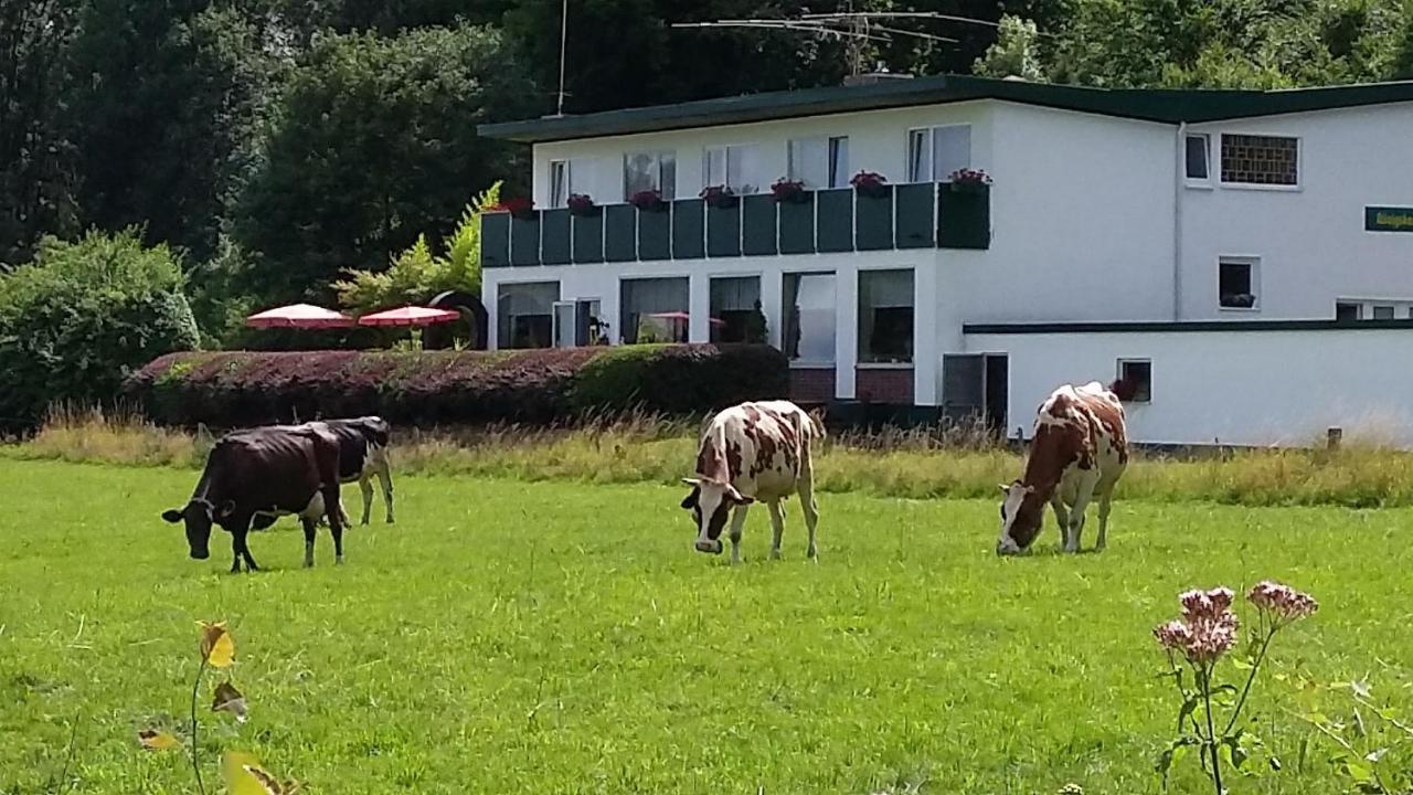 Waldhotel Dierdorf Екстериор снимка